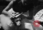 Image of dog parade Seattle Washington USA, 1956, second 13 stock footage video 65675047749