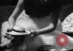Image of dog parade Seattle Washington USA, 1956, second 15 stock footage video 65675047749