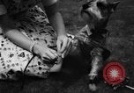 Image of dog parade Seattle Washington USA, 1956, second 17 stock footage video 65675047749