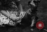 Image of dog parade Seattle Washington USA, 1956, second 18 stock footage video 65675047749