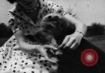 Image of dog parade Seattle Washington USA, 1956, second 19 stock footage video 65675047749