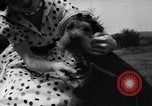 Image of dog parade Seattle Washington USA, 1956, second 22 stock footage video 65675047749