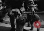 Image of dog parade Seattle Washington USA, 1956, second 25 stock footage video 65675047749