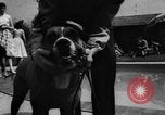 Image of dog parade Seattle Washington USA, 1956, second 33 stock footage video 65675047749