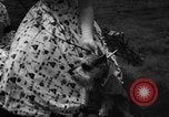 Image of dog parade Seattle Washington USA, 1956, second 34 stock footage video 65675047749