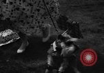 Image of dog parade Seattle Washington USA, 1956, second 35 stock footage video 65675047749