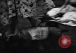 Image of dog parade Seattle Washington USA, 1956, second 37 stock footage video 65675047749