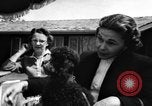 Image of dog parade Seattle Washington USA, 1956, second 39 stock footage video 65675047749