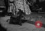 Image of dog parade Seattle Washington USA, 1956, second 42 stock footage video 65675047749