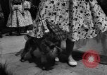 Image of dog parade Seattle Washington USA, 1956, second 44 stock footage video 65675047749