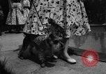 Image of dog parade Seattle Washington USA, 1956, second 45 stock footage video 65675047749