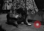 Image of dog parade Seattle Washington USA, 1956, second 49 stock footage video 65675047749