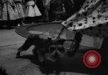 Image of dog parade Seattle Washington USA, 1956, second 52 stock footage video 65675047749