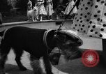 Image of dog parade Seattle Washington USA, 1956, second 59 stock footage video 65675047749