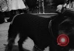Image of dog parade Seattle Washington USA, 1956, second 60 stock footage video 65675047749