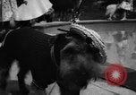 Image of dog parade Seattle Washington USA, 1956, second 62 stock footage video 65675047749