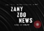 Image of baby elephants perform tricks at St Louis zoo Saint Louis Missouri USA, 1956, second 1 stock footage video 65675047750