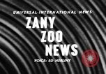 Image of baby elephants perform tricks at St Louis zoo Saint Louis Missouri USA, 1956, second 4 stock footage video 65675047750
