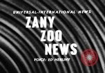 Image of baby elephants perform tricks at St Louis zoo Saint Louis Missouri USA, 1956, second 5 stock footage video 65675047750