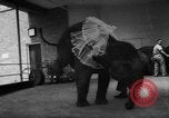 Image of baby elephants perform tricks at St Louis zoo Saint Louis Missouri USA, 1956, second 9 stock footage video 65675047750