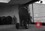 Image of baby elephants perform tricks at St Louis zoo Saint Louis Missouri USA, 1956, second 36 stock footage video 65675047750