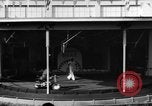 Image of baby elephants perform tricks at St Louis zoo Saint Louis Missouri USA, 1956, second 39 stock footage video 65675047750