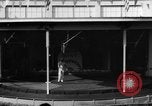 Image of baby elephants perform tricks at St Louis zoo Saint Louis Missouri USA, 1956, second 41 stock footage video 65675047750