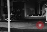 Image of baby elephants perform tricks at St Louis zoo Saint Louis Missouri USA, 1956, second 44 stock footage video 65675047750