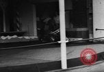 Image of baby elephants perform tricks at St Louis zoo Saint Louis Missouri USA, 1956, second 48 stock footage video 65675047750