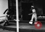 Image of baby elephants perform tricks at St Louis zoo Saint Louis Missouri USA, 1956, second 53 stock footage video 65675047750