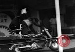 Image of baby elephants perform tricks at St Louis zoo Saint Louis Missouri USA, 1956, second 62 stock footage video 65675047750