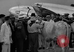 Standbild aviator Howard Huges Houston Texas USA, 1938, aus Sekunde 22 historischem Filmmaterial Videoclip 65675047768