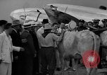Standbild aviator Howard Huges Houston Texas USA, 1938, aus Sekunde 23 historischem Filmmaterial Videoclip 65675047768