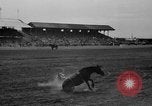Image rodéo Cheyenne Wyoming United States USA, 1938, de la seconde 15 séquences d'archives historiques vidéo 65675047772