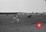 Image rodéo Cheyenne Wyoming United States USA, 1938, de la seconde 22 séquences d'archives historiques vidéo 65675047772