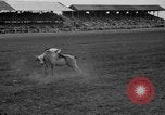 Image rodéo Cheyenne Wyoming United States USA, 1938, de la seconde 31 séquences d'archives historiques vidéo 65675047772