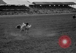 Image rodéo Cheyenne Wyoming United States USA, 1938, de la seconde 32 séquences d'archives historiques vidéo 65675047772