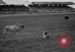 Image rodéo Cheyenne Wyoming United States USA, 1938, de la seconde 33 séquences d'archives historiques vidéo 65675047772