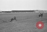 Image rodéo Cheyenne Wyoming United States USA, 1938, de la seconde 41 séquences d'archives historiques vidéo 65675047772