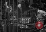 Image of animal tamer Clyde Beatty Atlantic City New Jersey USA, 1939, second 20 stock footage video 65675047782
