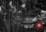 Image of animal tamer Clyde Beatty Atlantic City New Jersey USA, 1939, second 21 stock footage video 65675047782