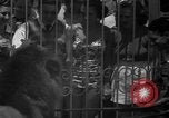 Image of animal tamer Clyde Beatty Atlantic City New Jersey USA, 1939, second 22 stock footage video 65675047782