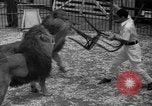 Image of animal tamer Clyde Beatty Atlantic City New Jersey USA, 1939, second 29 stock footage video 65675047782