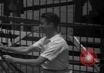 Image of animal tamer Clyde Beatty Atlantic City New Jersey USA, 1939, second 31 stock footage video 65675047782