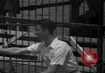 Image of animal tamer Clyde Beatty Atlantic City New Jersey USA, 1939, second 32 stock footage video 65675047782