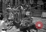 Image of animal tamer Clyde Beatty Atlantic City New Jersey USA, 1939, second 38 stock footage video 65675047782