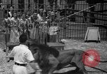 Image of animal tamer Clyde Beatty Atlantic City New Jersey USA, 1939, second 39 stock footage video 65675047782