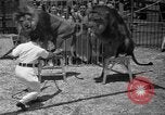 Image of animal tamer Clyde Beatty Atlantic City New Jersey USA, 1939, second 50 stock footage video 65675047782