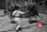 Image of animal tamer Clyde Beatty Atlantic City New Jersey USA, 1939, second 51 stock footage video 65675047782