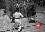 Image of animal tamer Clyde Beatty Atlantic City New Jersey USA, 1939, second 52 stock footage video 65675047782